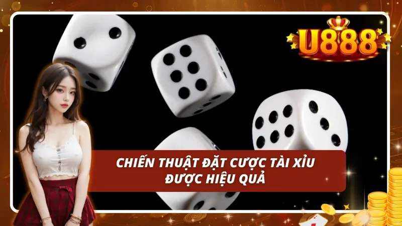 Những chiến thuật đặt cược mang lại hiệu quả cực cao